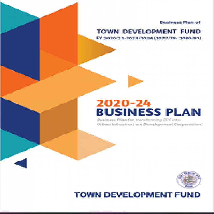 TDF  Business Plan Second edition 4 year (020/21-24)